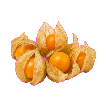 Aguaymanto