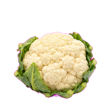 Coliflor