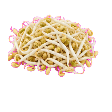 Frejol chino