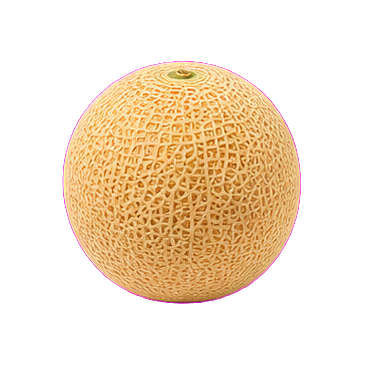 Melón