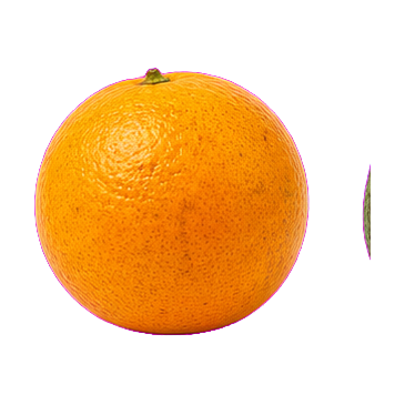 Naranja selva