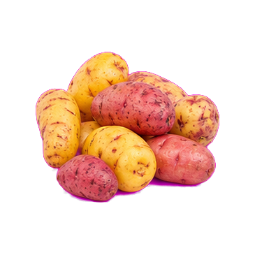Olluco entero