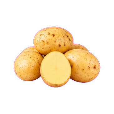 Papa única