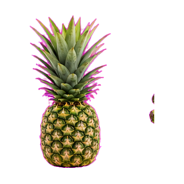 Piña selva