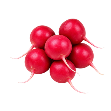 Rabanito