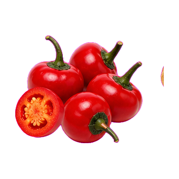 Rocoto