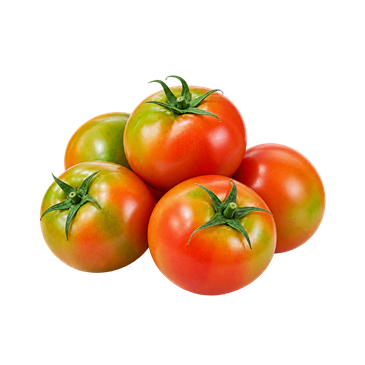 Tomate (proceso/pinto)
