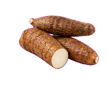 Yuca