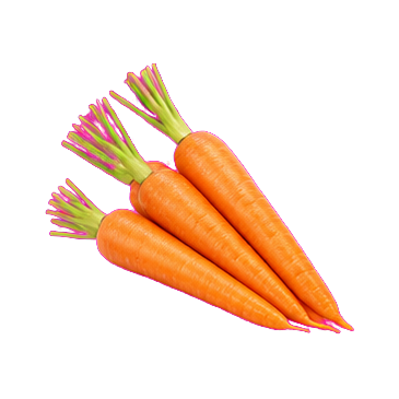 Zanahoria